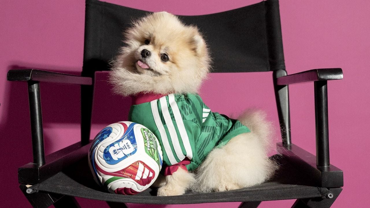 Adidas sorprende con playeras mundialistas para perros: México, Argentina y más