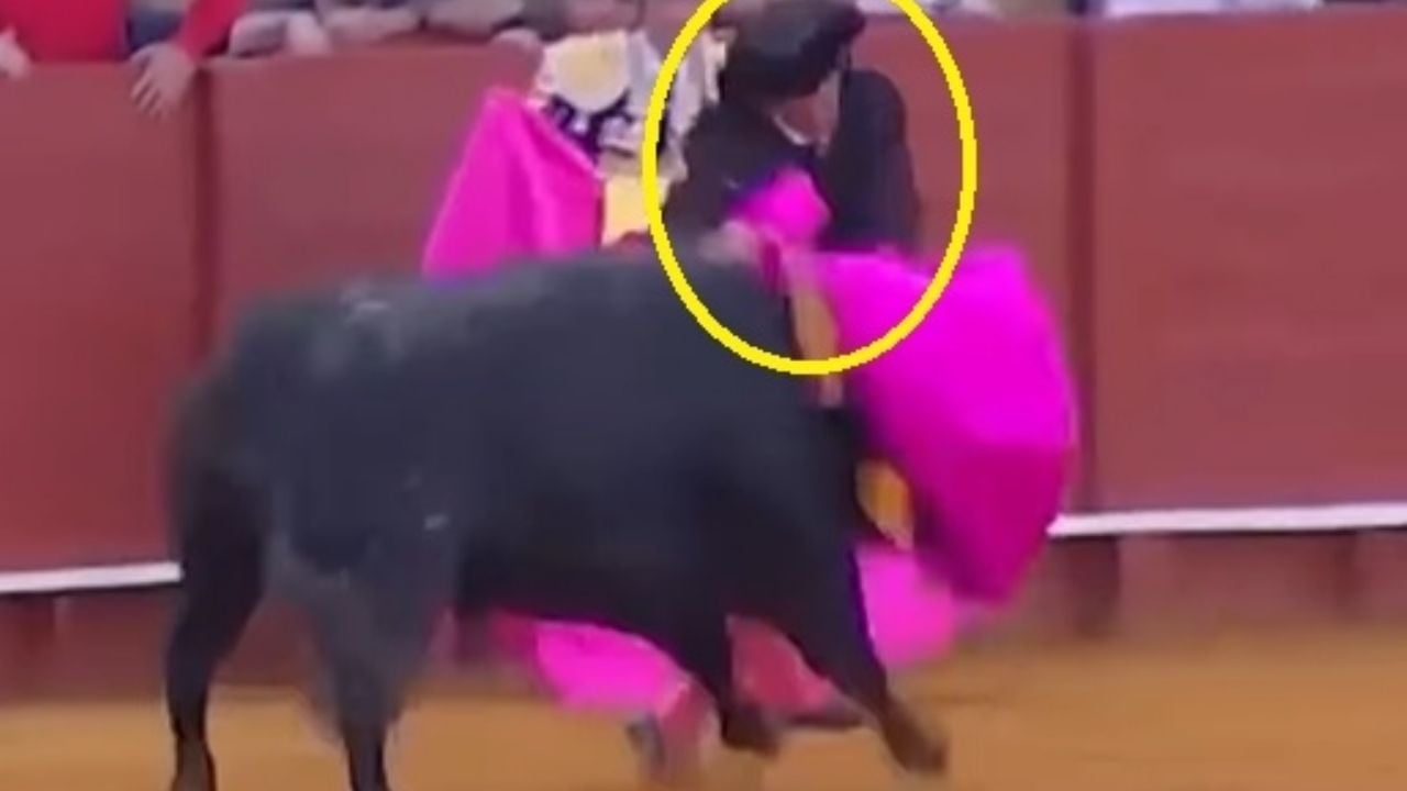 Banderillero enfrenta al toro y sufre un inesperado puyazo en el ruedo