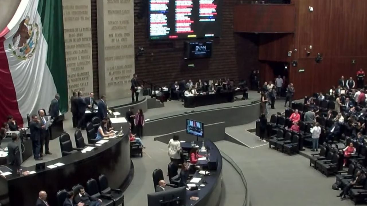 Diputados de [Ciudad/Estado] devuelven minuta del Senado sobre delitos ambientales