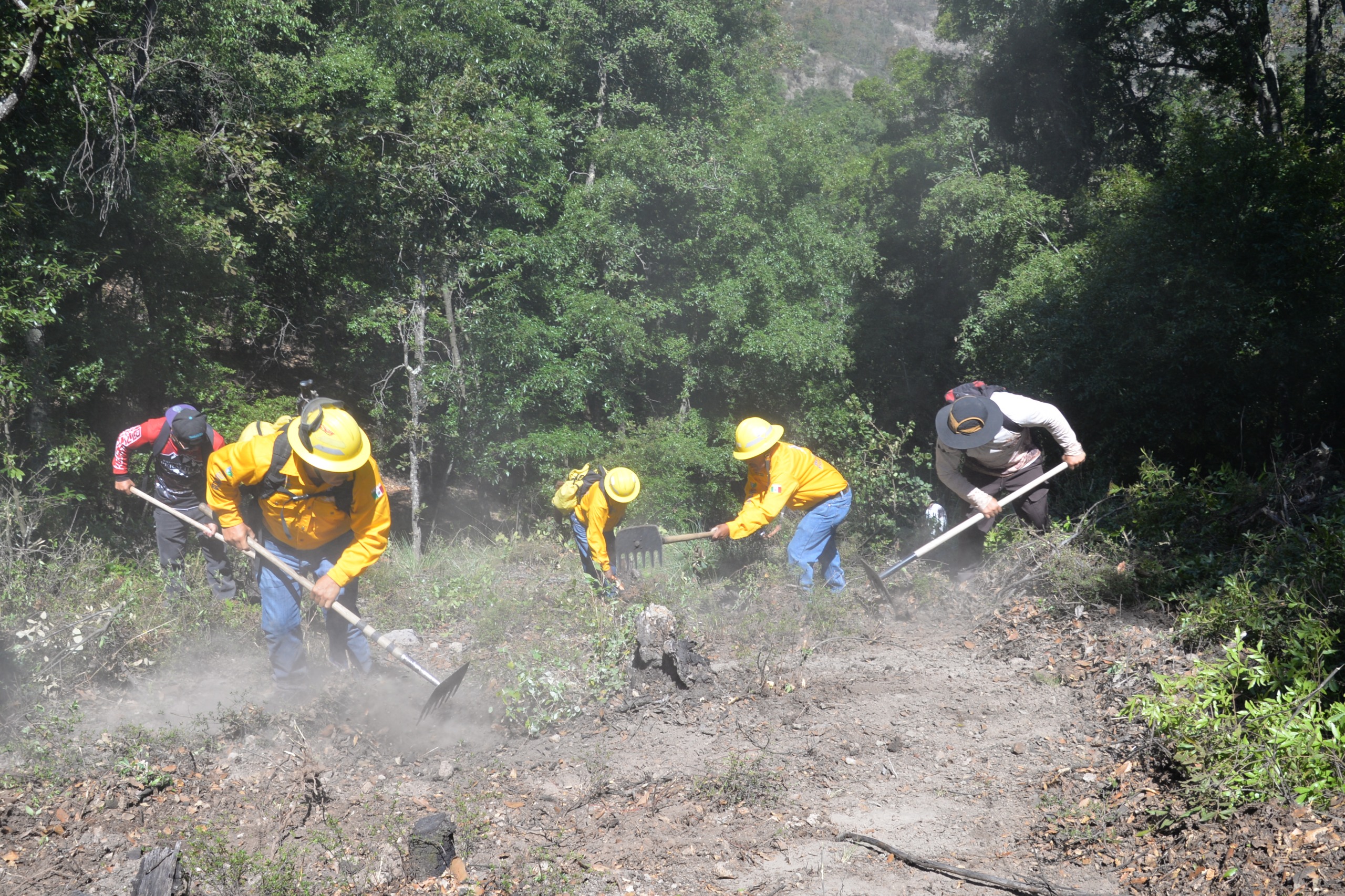 Fortalecen la Prevención de Incendios Forestales en [Ciudad/Estado]