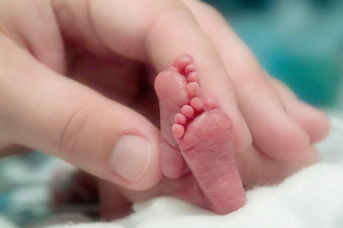 Guanajuato implementa 82 mil tamices para proteger a la infancia en el estado.