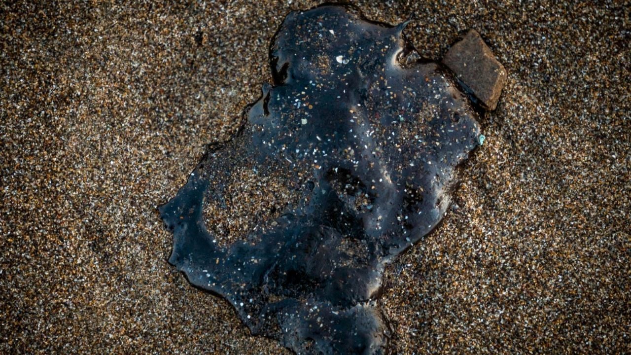 Hidrocarburo contamina 81 playas en Veracruz, Tabasco y Tamaulipas