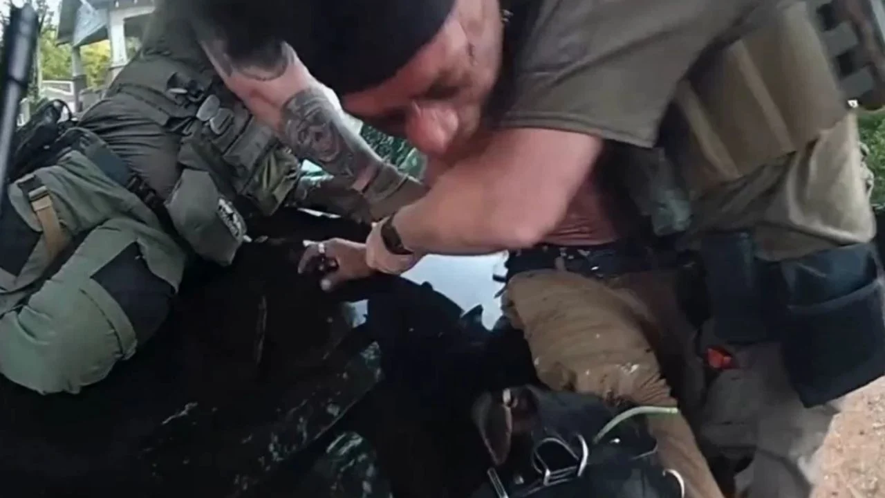 Hombre ebrio provoca ataque a perro policía durante detención | VIDEO
