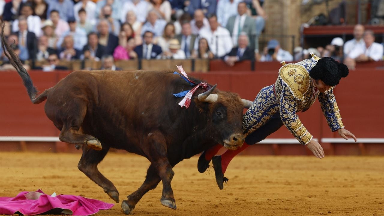 Morante de la Puebla: Cornada grave y perforación en el recto