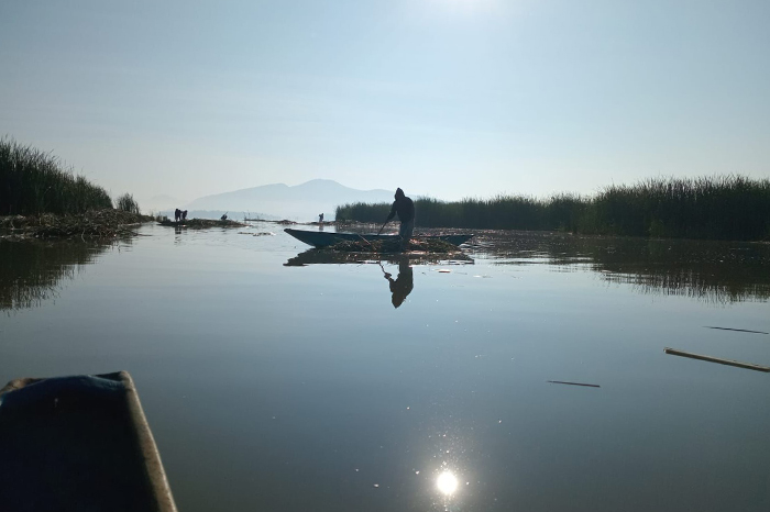 Revitalización del Lago de Pátzcuaro con descubrimiento de 18 manantiales nuevos