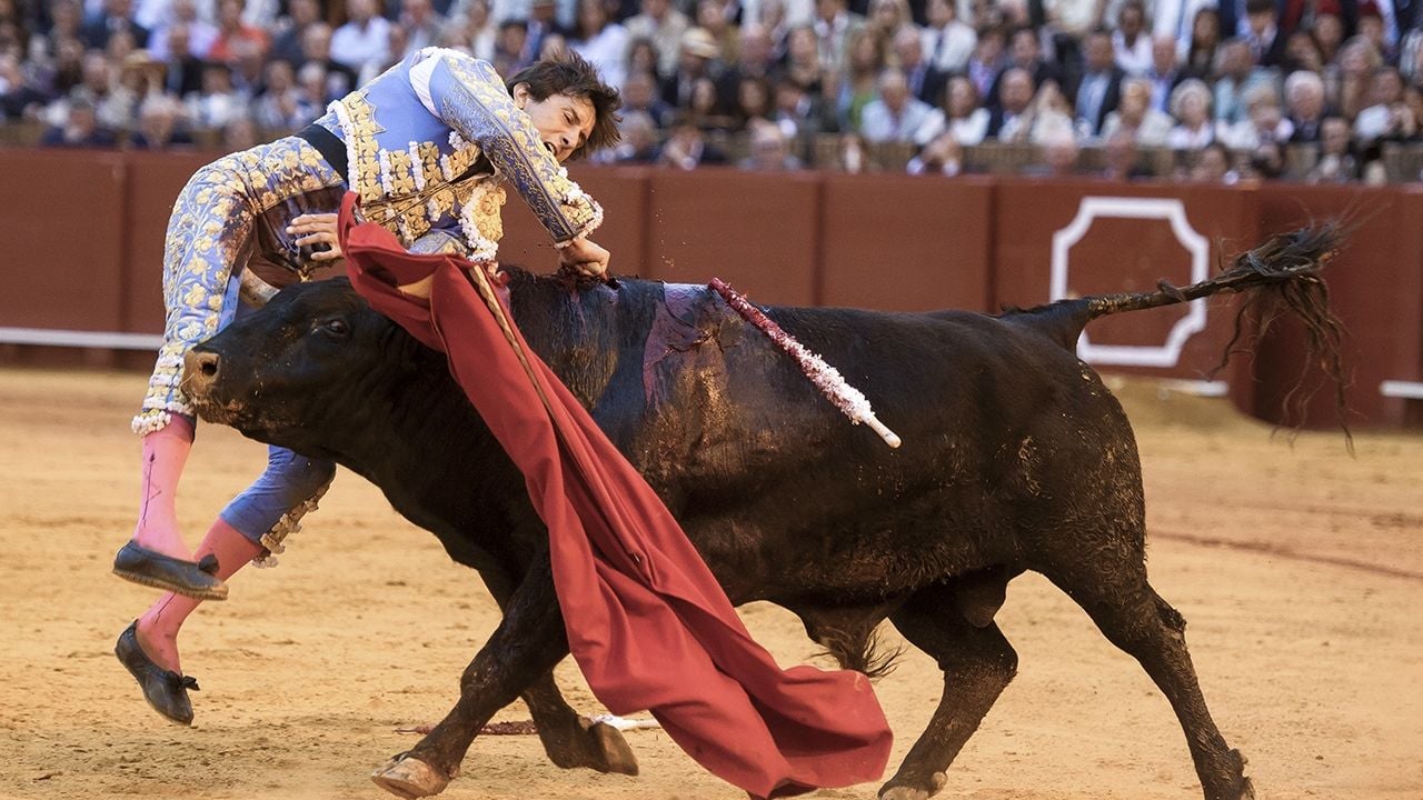 Roca Rey recibe grave cornada al intentar matar en la plaza