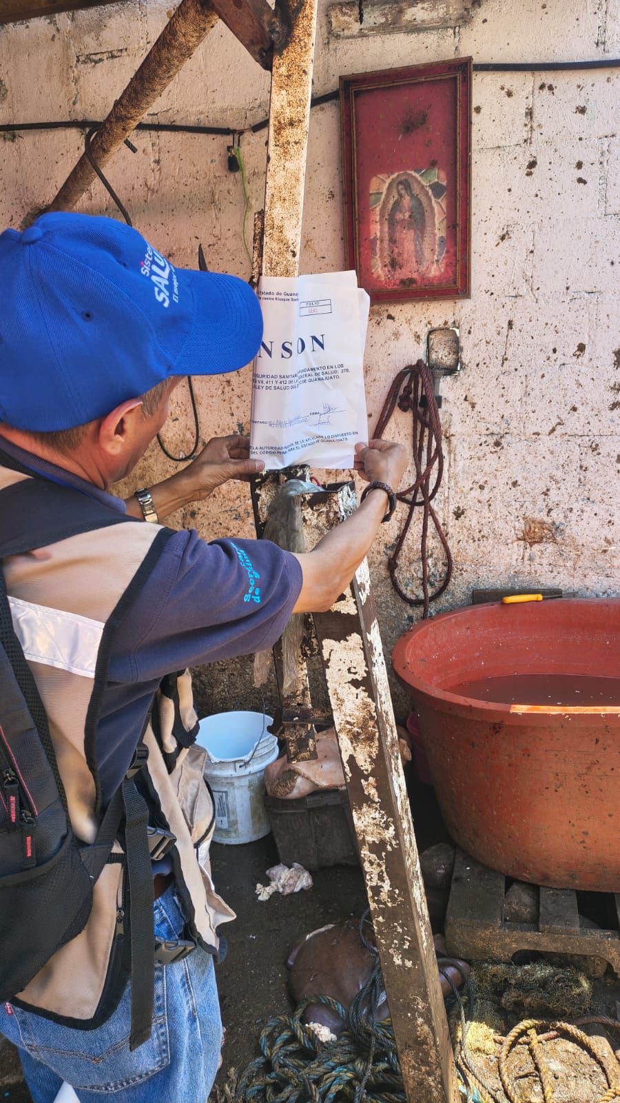SSG cierra matadero privado en Pénjamo por riesgos sanitarios.
