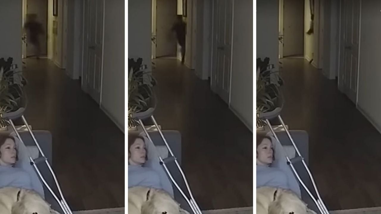 Un niño fantasmal atraviesa una pared y asusta a un perro en VIDEO