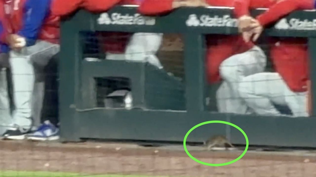 Una rata interrumpe partido de MLB en Chicago y sorprende a todos