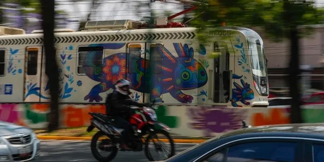 Ajolote representa a México en Mundial 2026 y enfrenta extinción