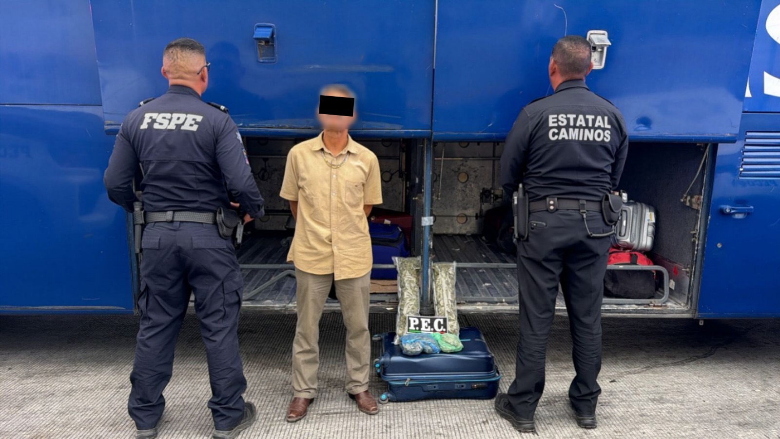 Asegura PEC más de mil dosis de marihuana en autobús en Salamanca
