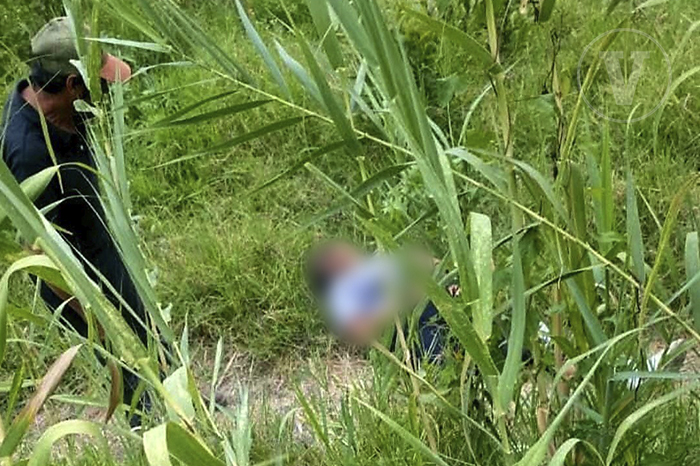 Ataque de perros deja herida a mujer en Uruapan, Michoacán