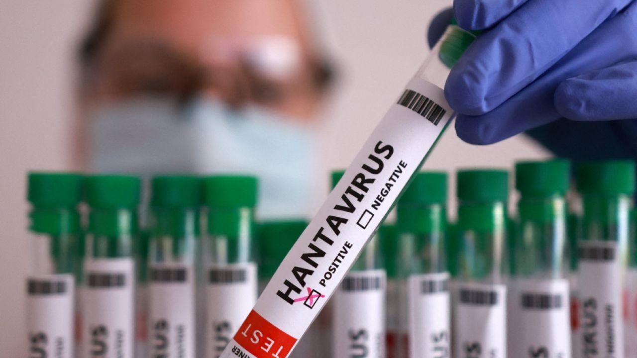 Azafata hospitalizada en Ámsterdam por posibles síntomas de hantavirus tras crucero