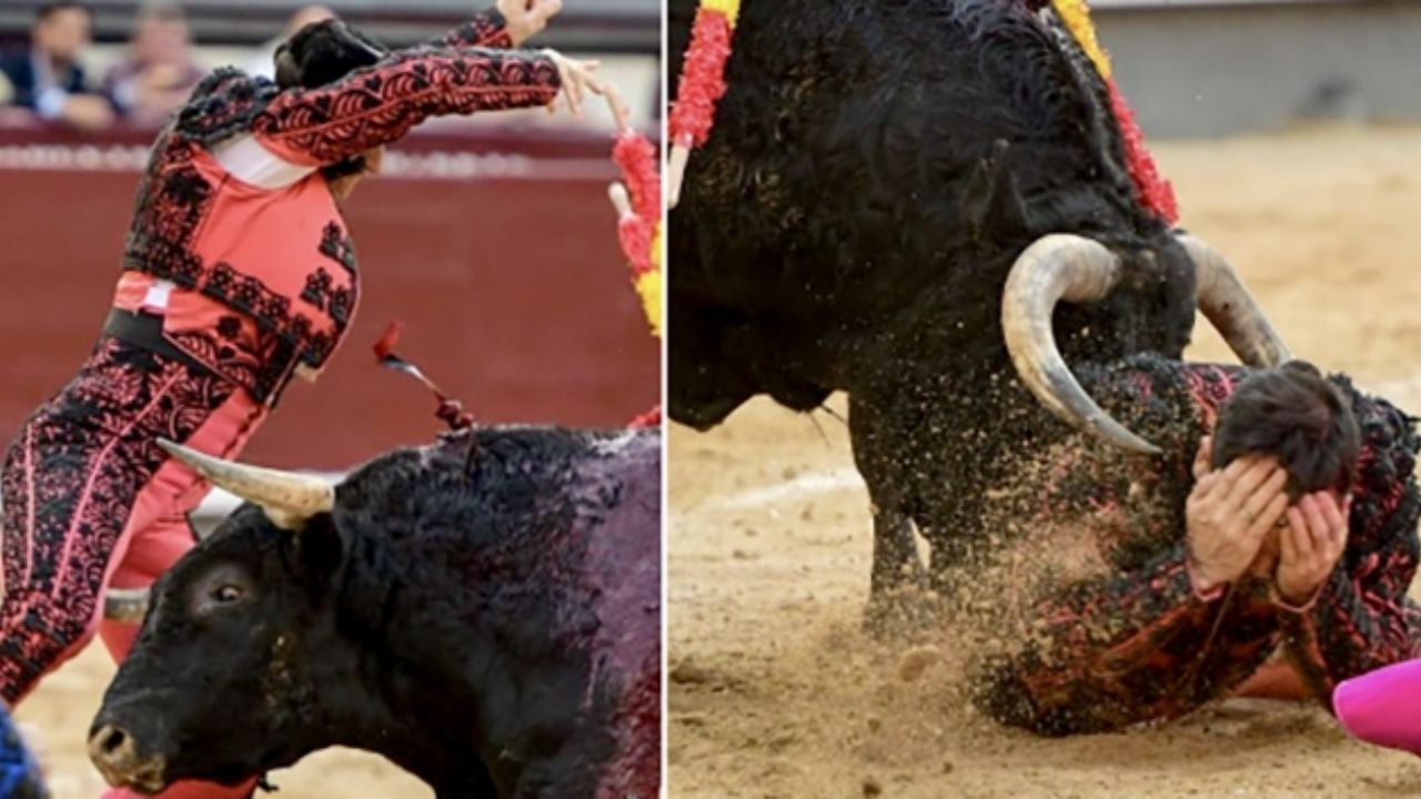 Banderillero herido en la Feria de Madrid: cornada de 25 cm en el muslo