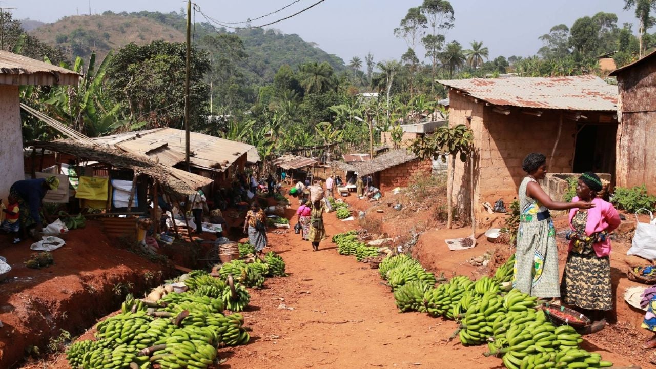 Camerún: Al menos 14 muertos en operativo contra separatistas en región conflictiva