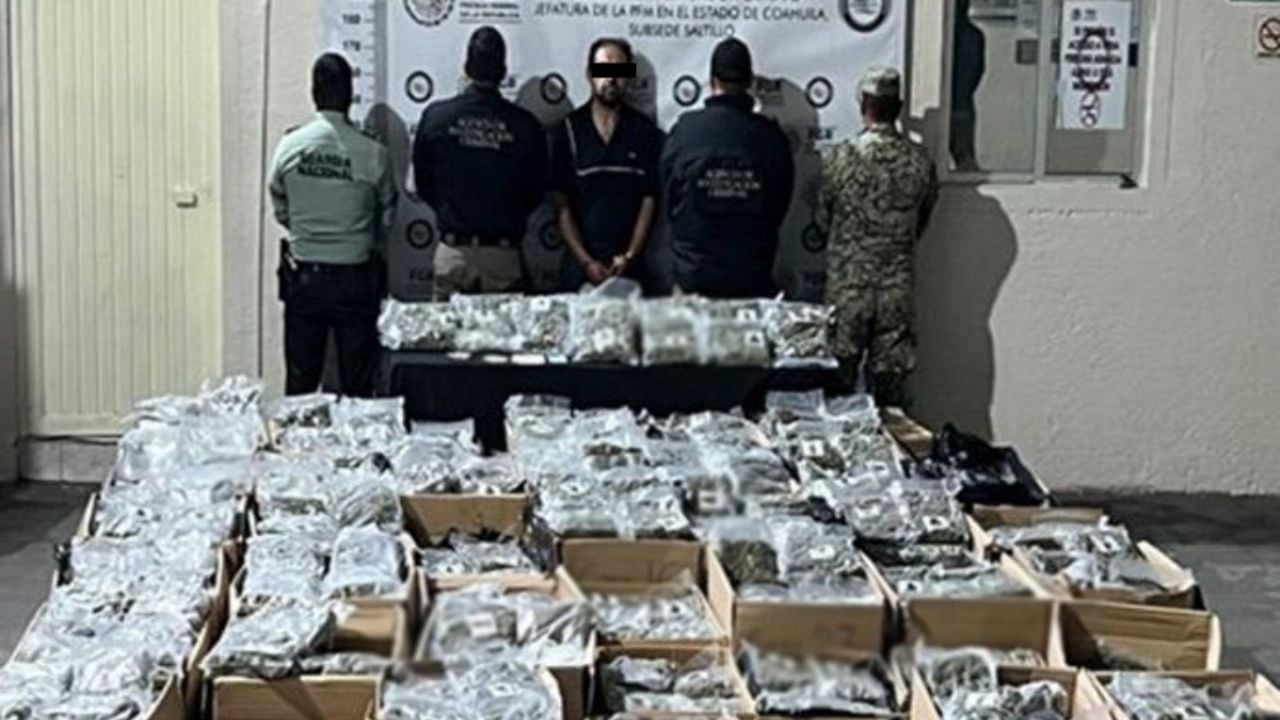Capturan en Coahuila a individuo con 750 kilos de marihuana en camión