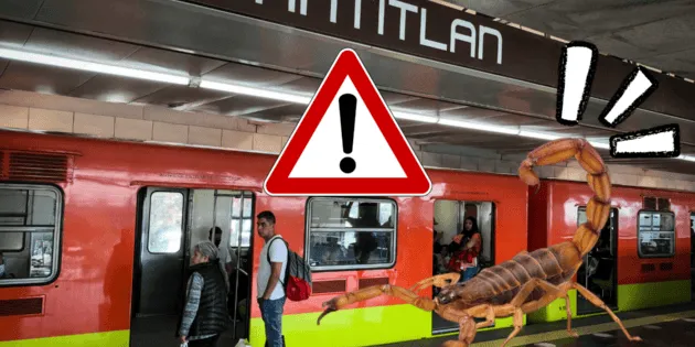 CDMX: Protocolo ante picaduras de alacrán en el Metro