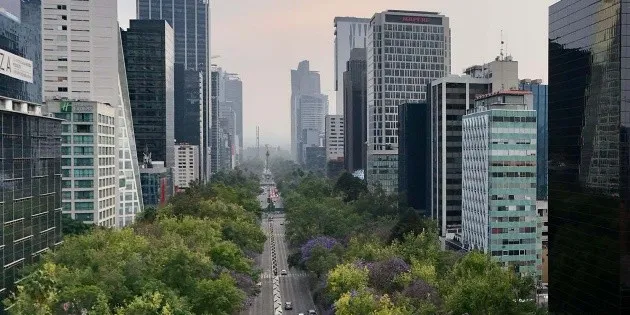 CDMX y Edomex: Aplicación del Hoy No Circula, 29 de mayo