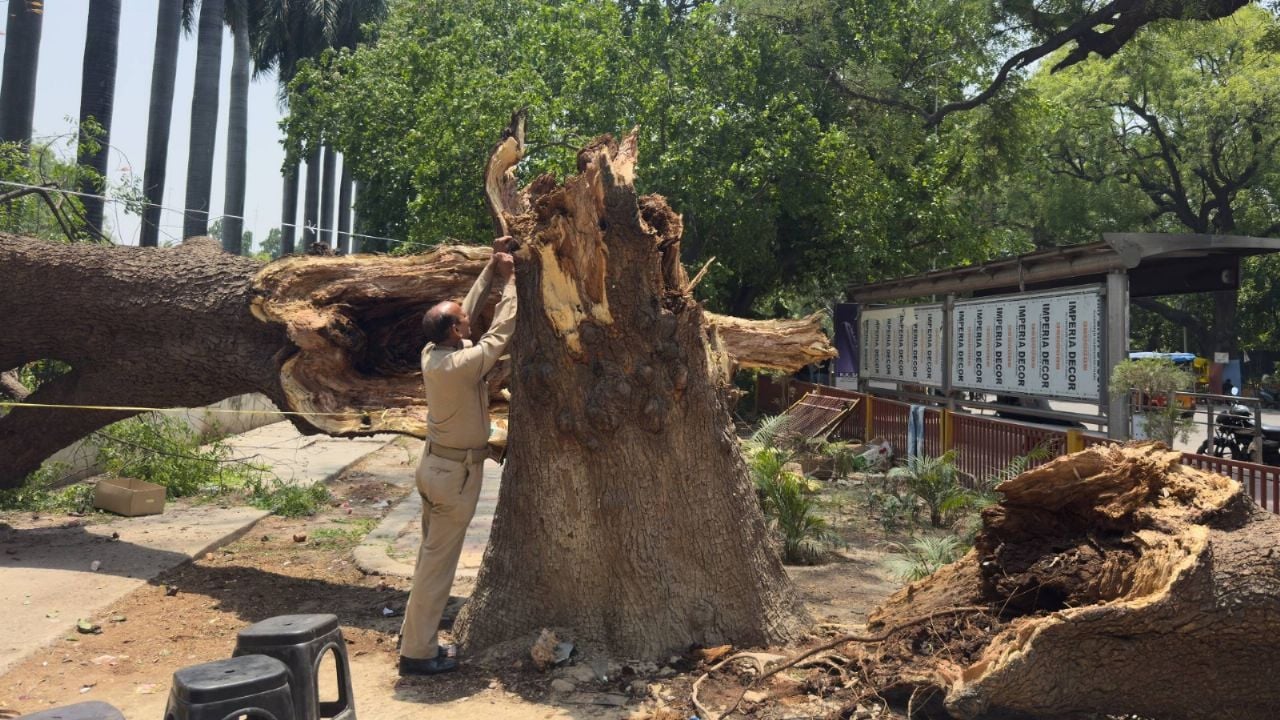 Cien víctimas en India por tormentas de polvo y lluvias intensas