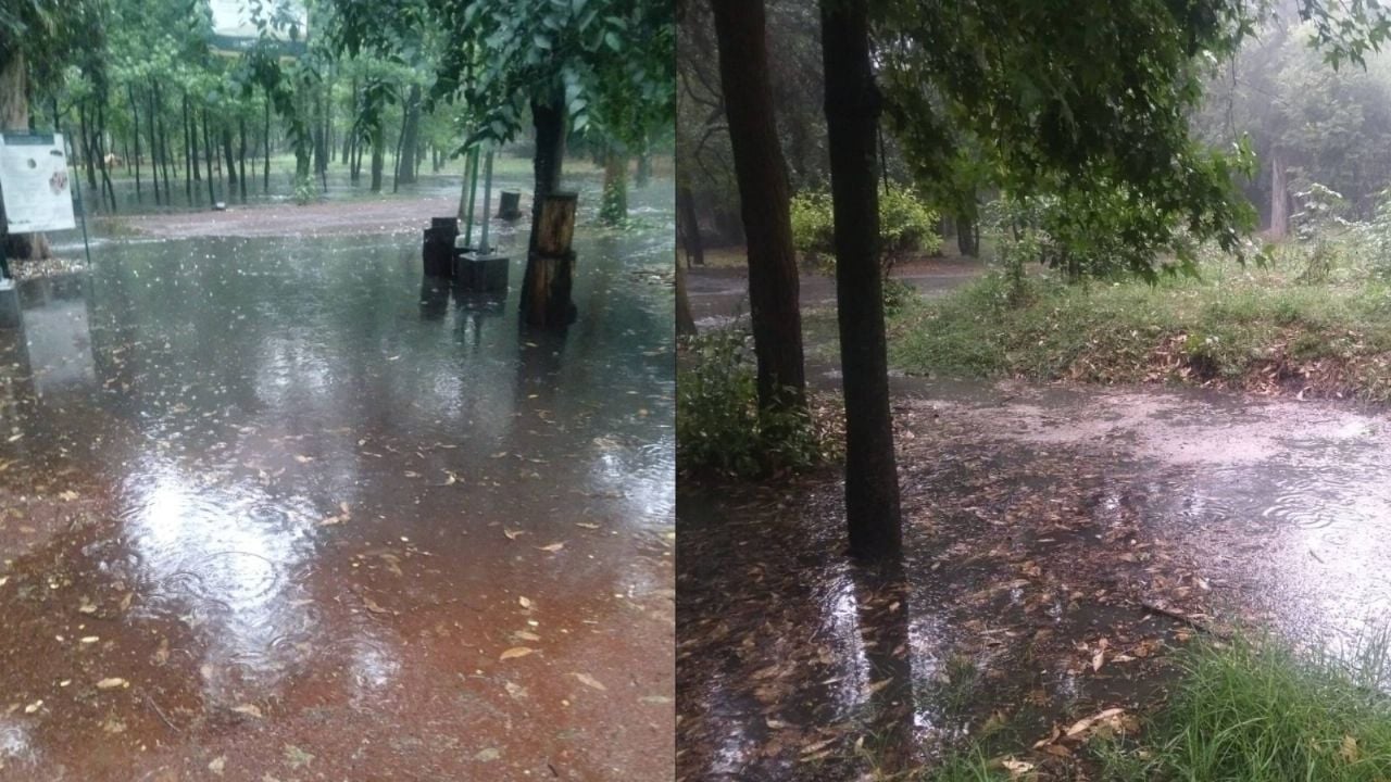 Cierra Parque Viveros de Coyoacán por daños tras intensas lluvias en CDMX