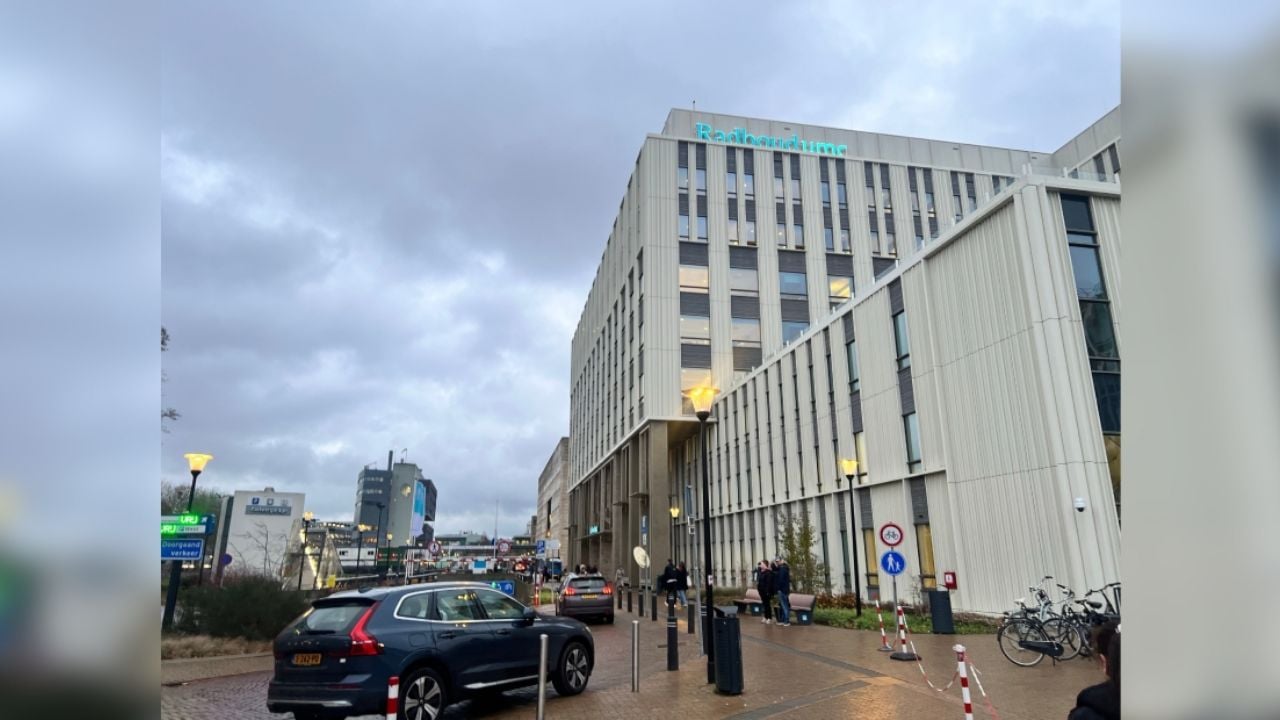 Cuarentena para 12 trabajadores de hospital en Países Bajos por hantavirus
