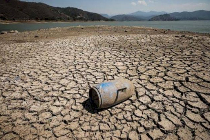 Cuencas de [Ciudad/Estado] sufren pérdida del 40% en su recuperación ambiental