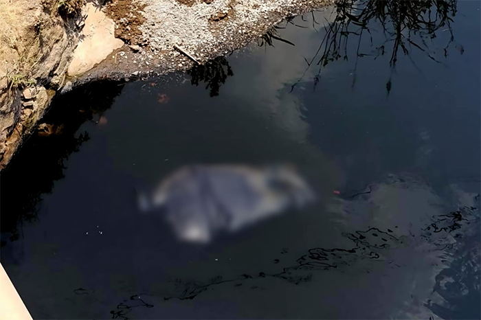 Descubren cadáver en canal de aguas negras en Tarímbaro, Uruétaro