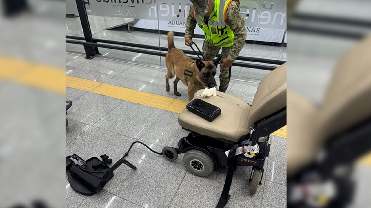 Detenido en el AICM por transportar nueve kilos de cocaína en silla de ruedas