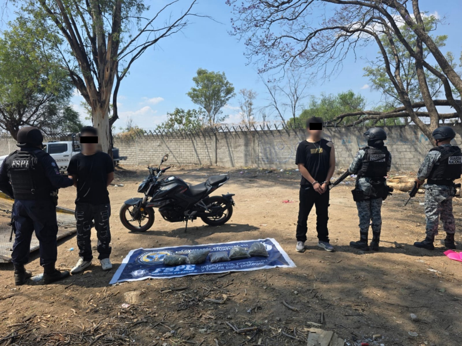 Irapuato asegura más de 2,000 dosis de marihuana en detención policial
