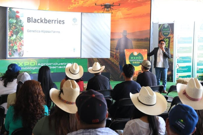 Más de 10,000 visitantes en la expo rural de Morelia, reporta el Gobierno