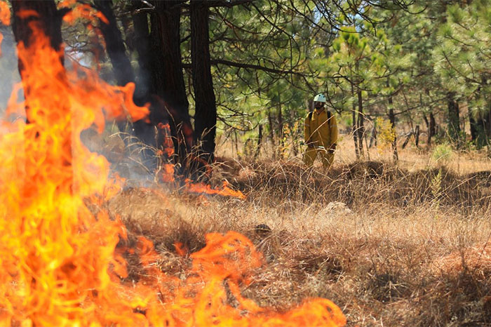 Michoacán registra 432 incendios forestales; evaluarán bombardeo de nubes