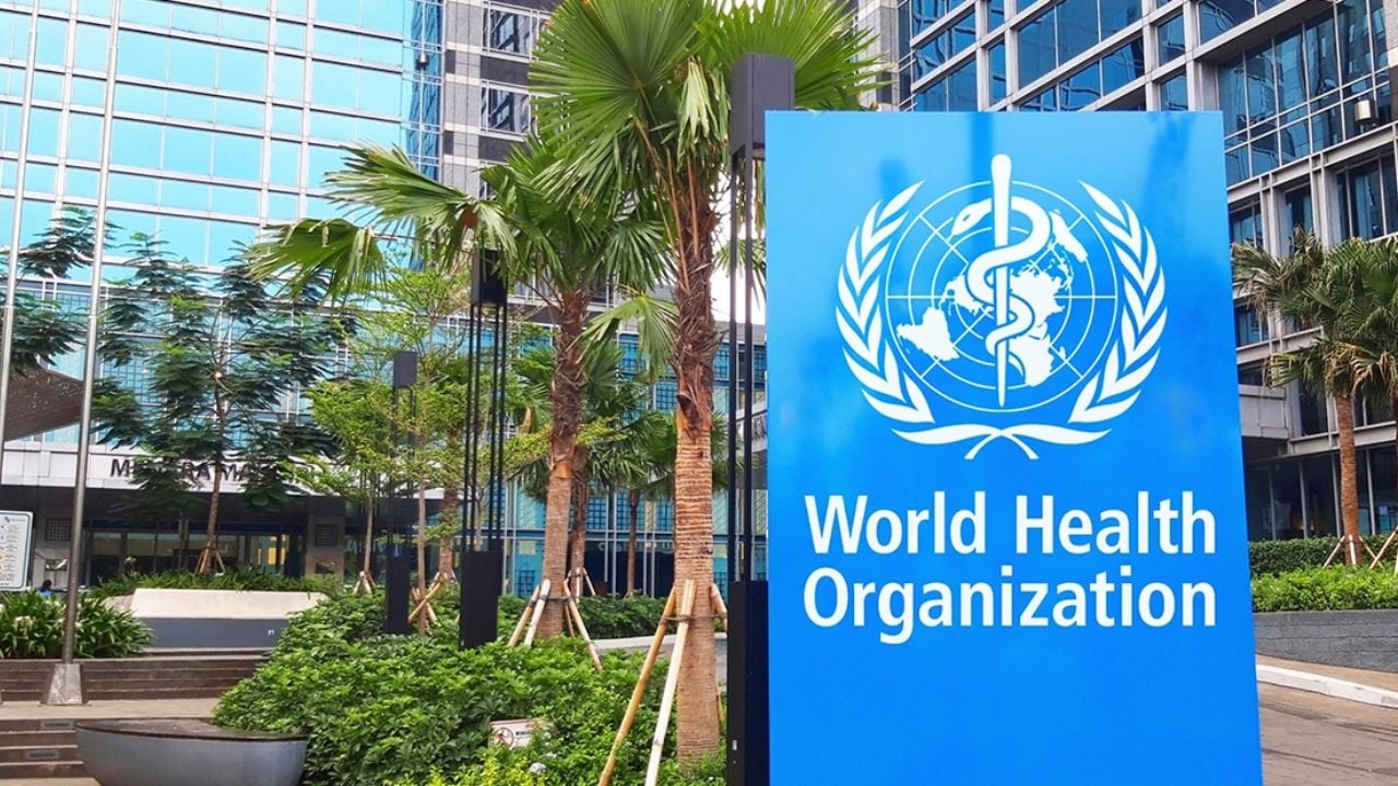 OMS descarta epidemia de hantavirus en [Ciudad/Estado]; tranquilidad para la población