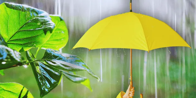 Pronóstico del clima en [Ciudad], [Estado] para hoy 25 de mayo