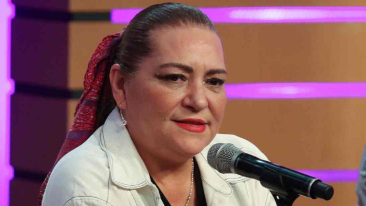 Taddei y Monreal discuten sobre la postergación de la elección judicial en México