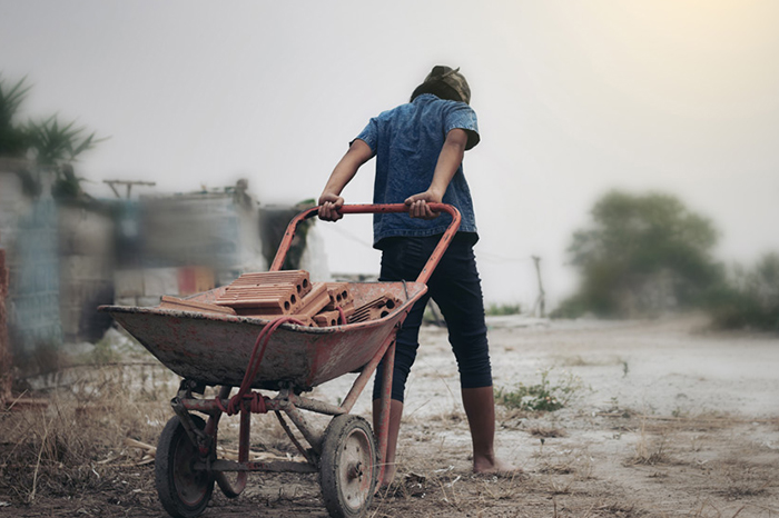 Trabajo infantil afecta a más de 212 mil menores en [Ciudad/Estado]