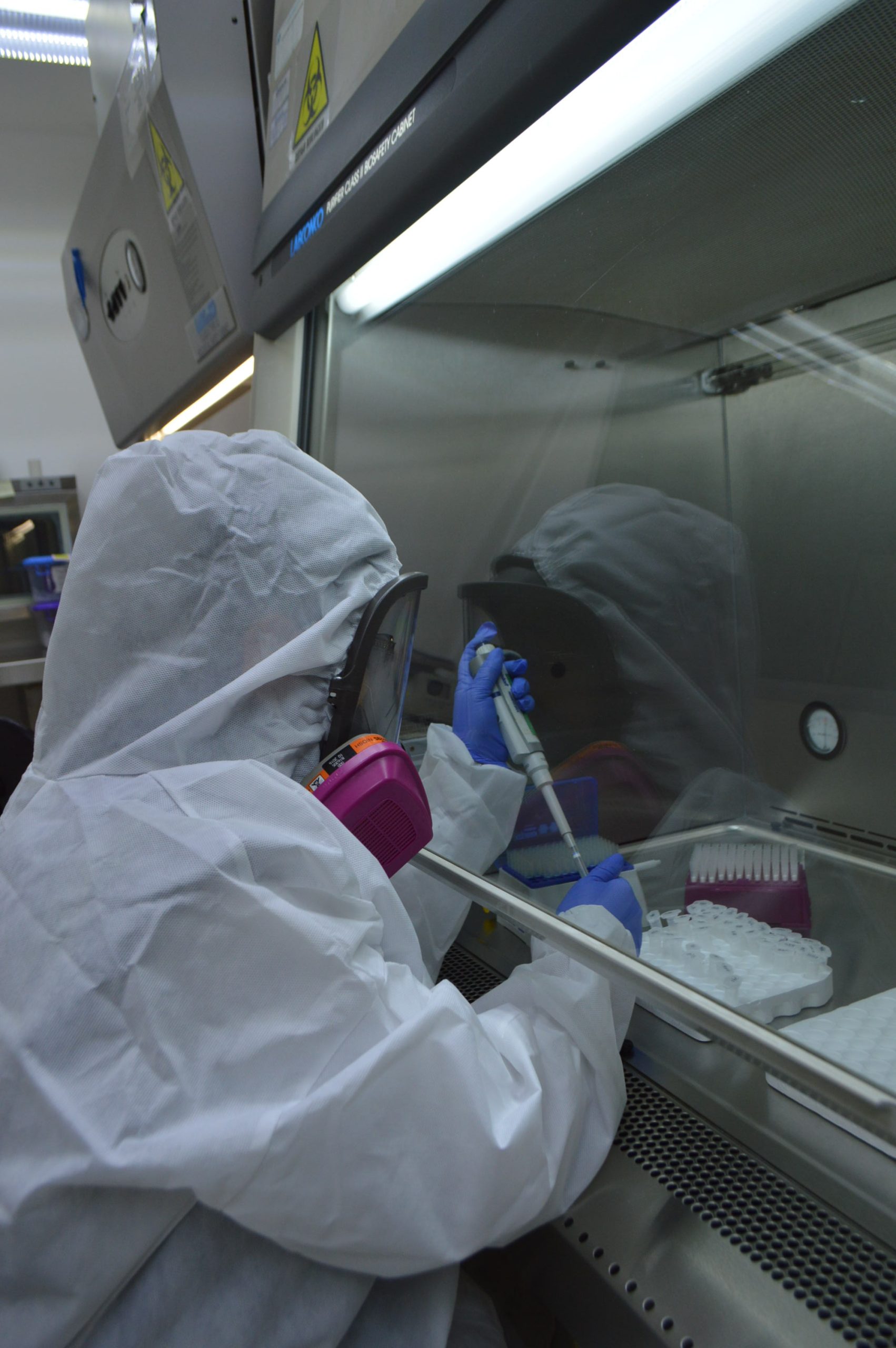Vigilancia epidemiológica por brote internacional de Ébola en [nombre de la ciudad o estado].
