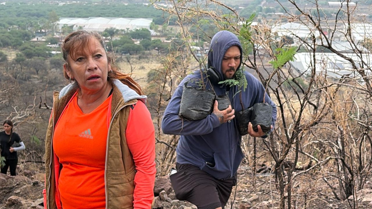 Cerro del Palenque: Mil árboles sembrados en áreas afectadas por incendios