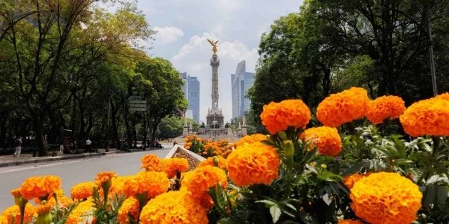 Ciudad de México: Paseo de la Reforma celebra el Día de Muertos en junio