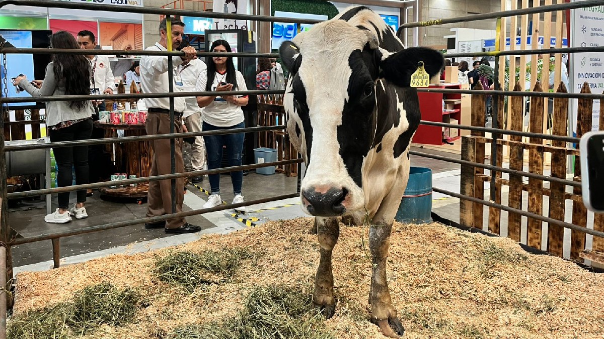 Guanajuato: Leche para el Bienestar y Expo Lac impulsan apoyo regional