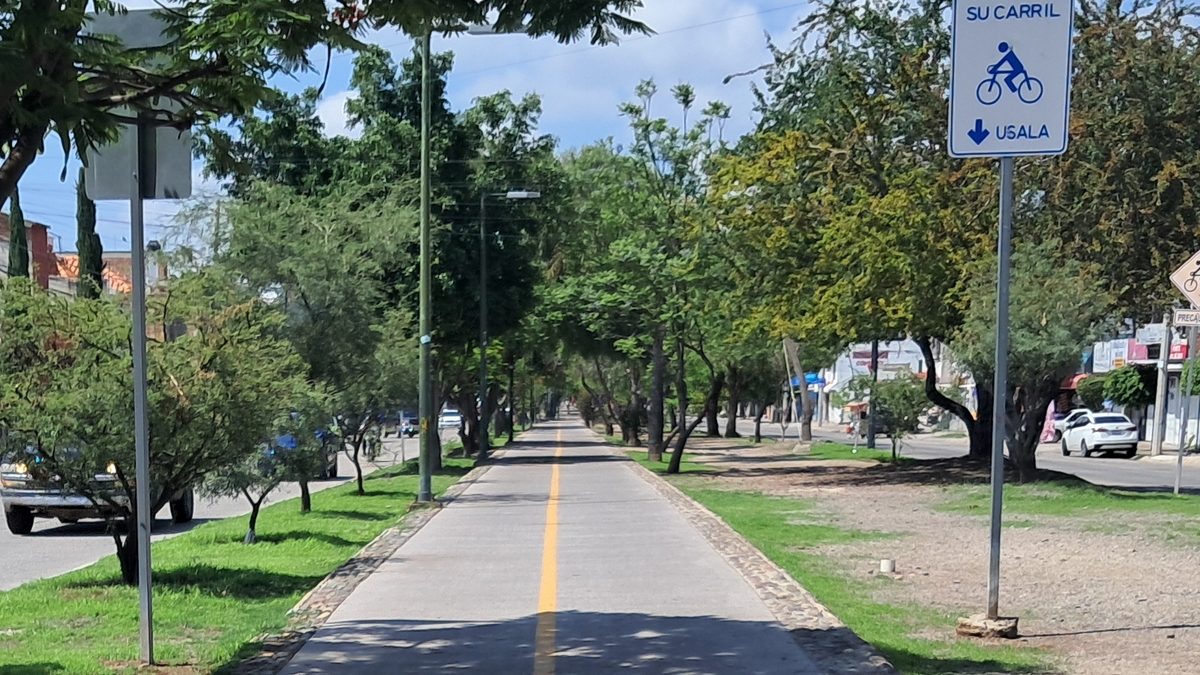 Guanajuato: Movilidad y accesibilidad, retos en municipios locales