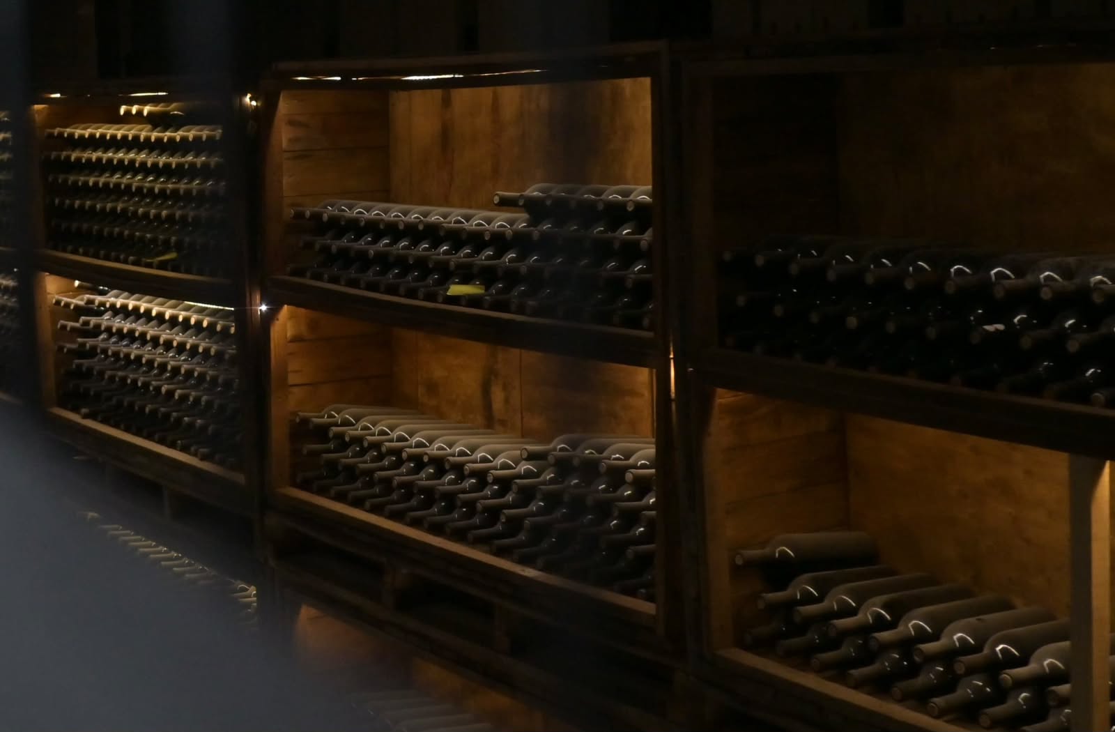 Guanajuato se consolida como segundo estado vitivinícola en premios internacionales