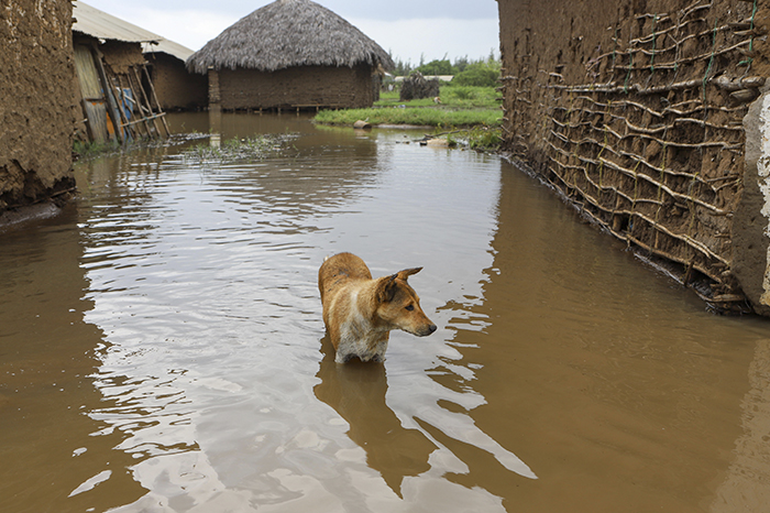 Impacto del fenómeno El Niño en Michoacán: Riesgos y oportunidades