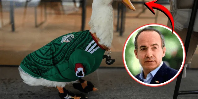 México: Calderón pide a FIFA regalías para la familia del pato Merlín