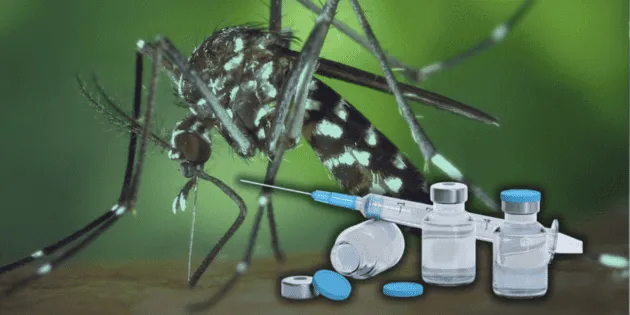México: Cuatro muertes por dengue en 2026 y avanzan vacunas