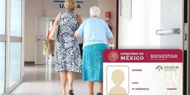 México: Errores comunes que eliminan beneficios del INAPAM