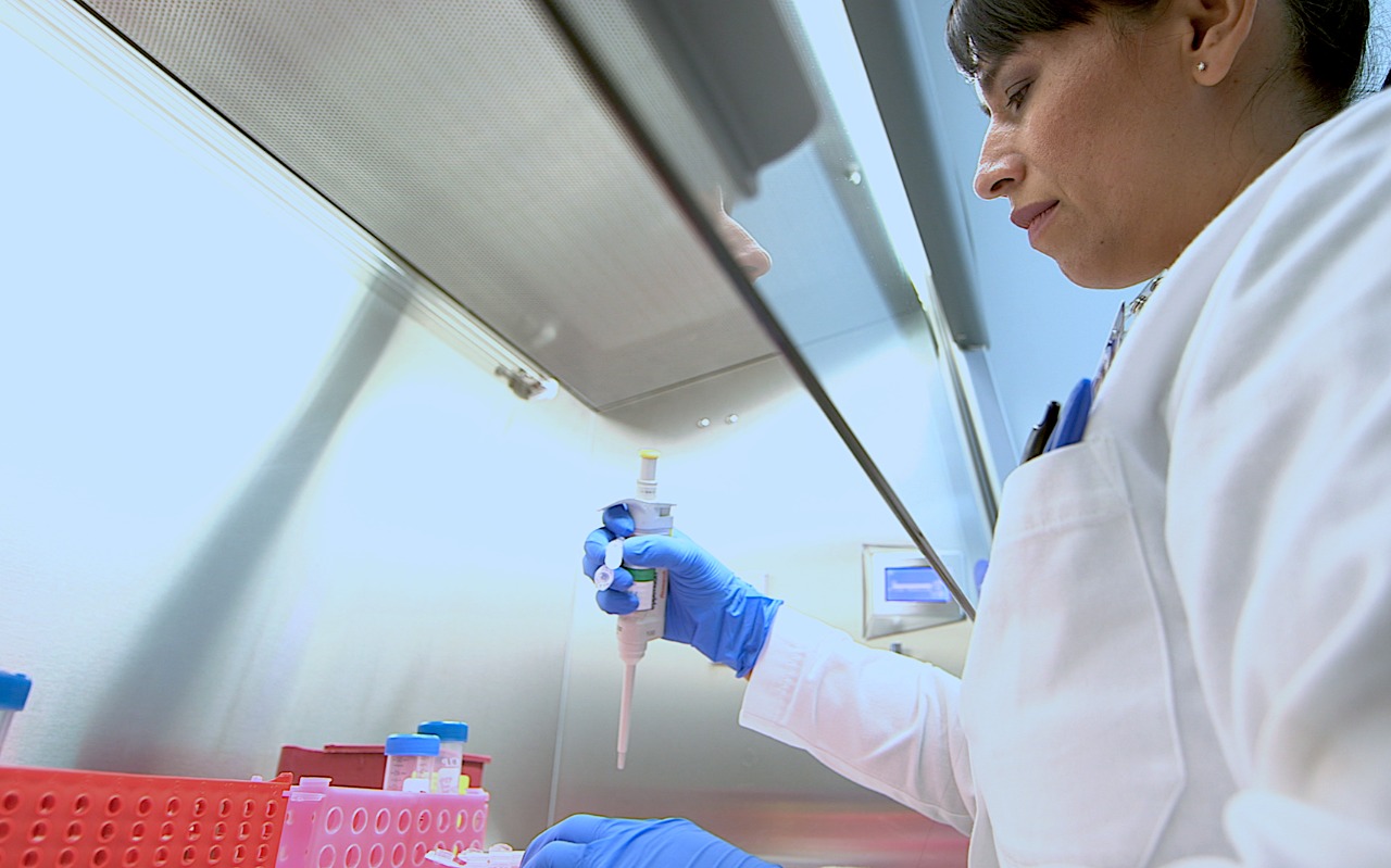 SSG intensifica vigilancia epidemiológica en municipios afectados por gusano barrenador