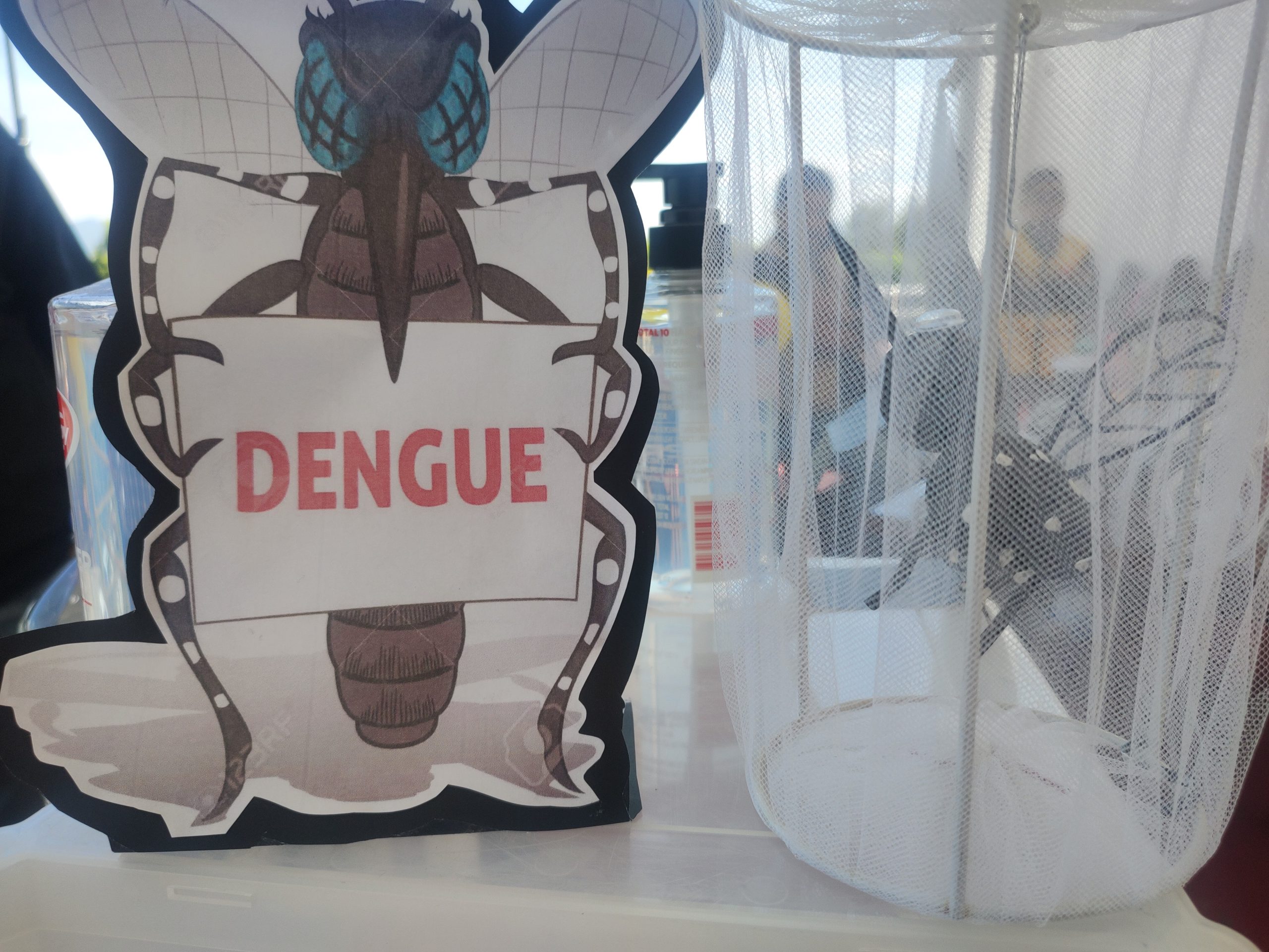 SSG reporta disminución del 60% en casos de dengue en la región