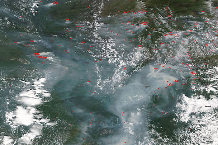 Temperaturas récord en la superficie del mar a nivel global