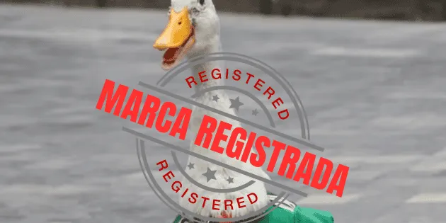Tepic: Dueña registra nombre de Pato Merlín en el IMPI