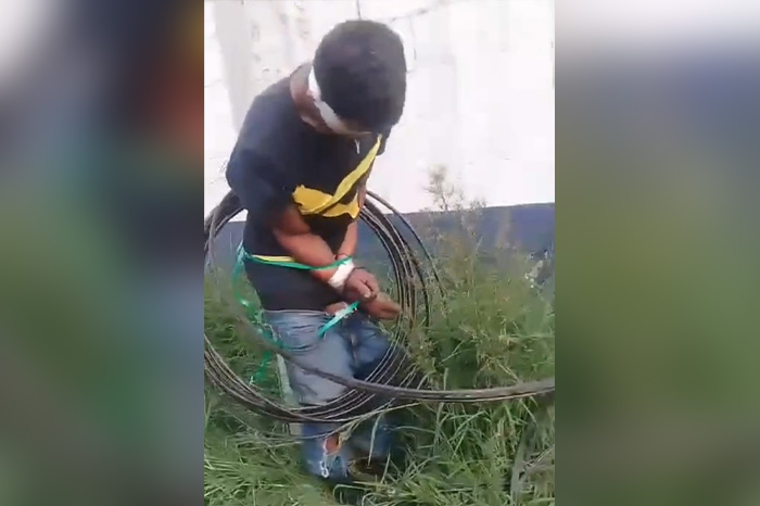 Uruapan: Detienen a presunto ladrón y lo amarran a un poste